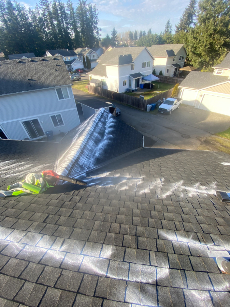 Roof and Gutter Cleaning Zinc Treatment in Kent, WA