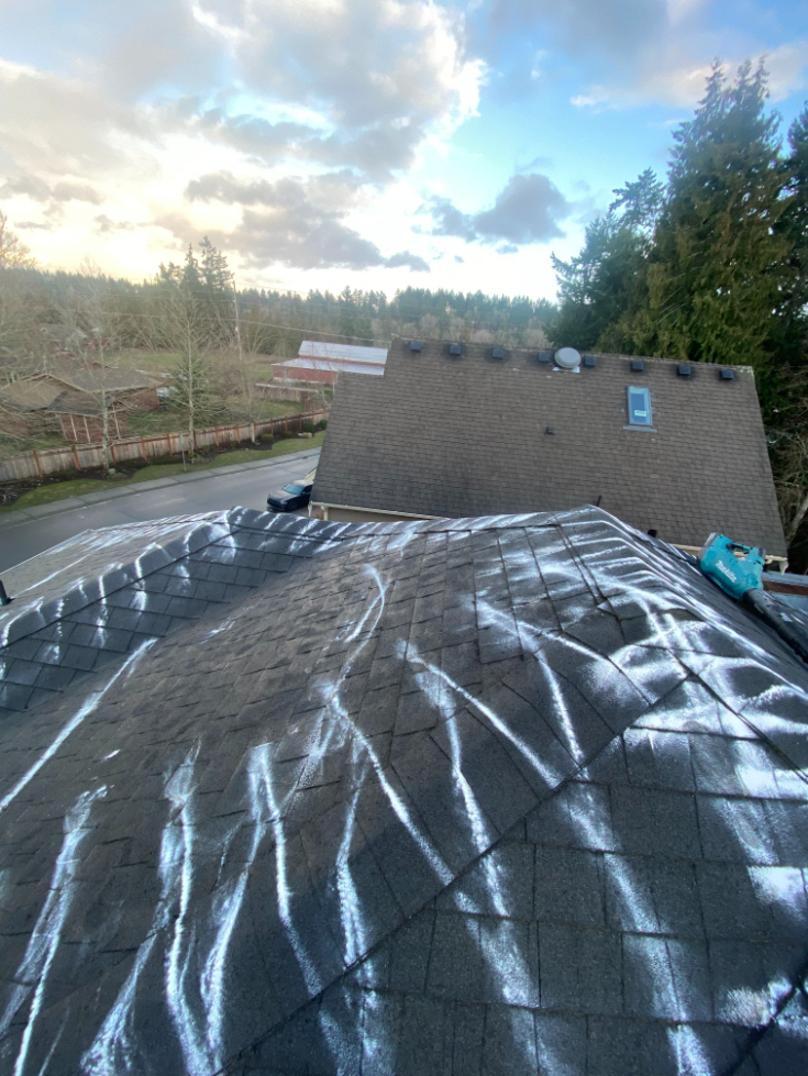 Roof Cleaning in Bonney Lake, WA