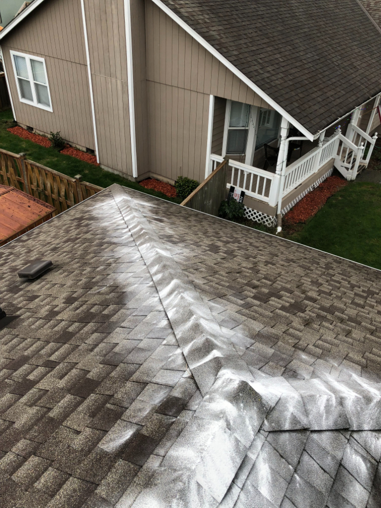 Roof Cleaning in Federal Way, WA