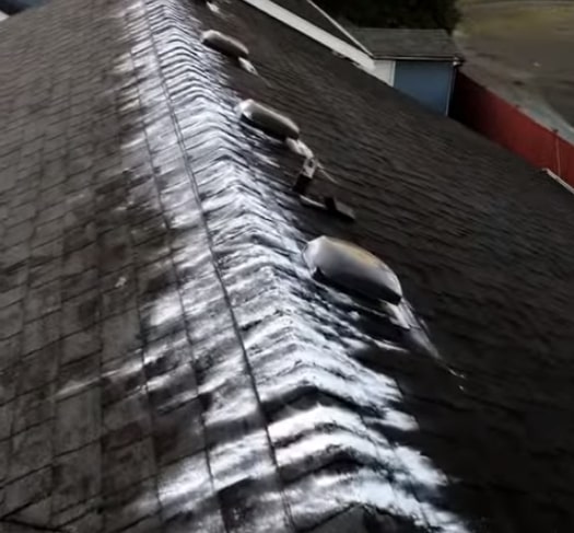 Roof Cleaning in Kent, WA