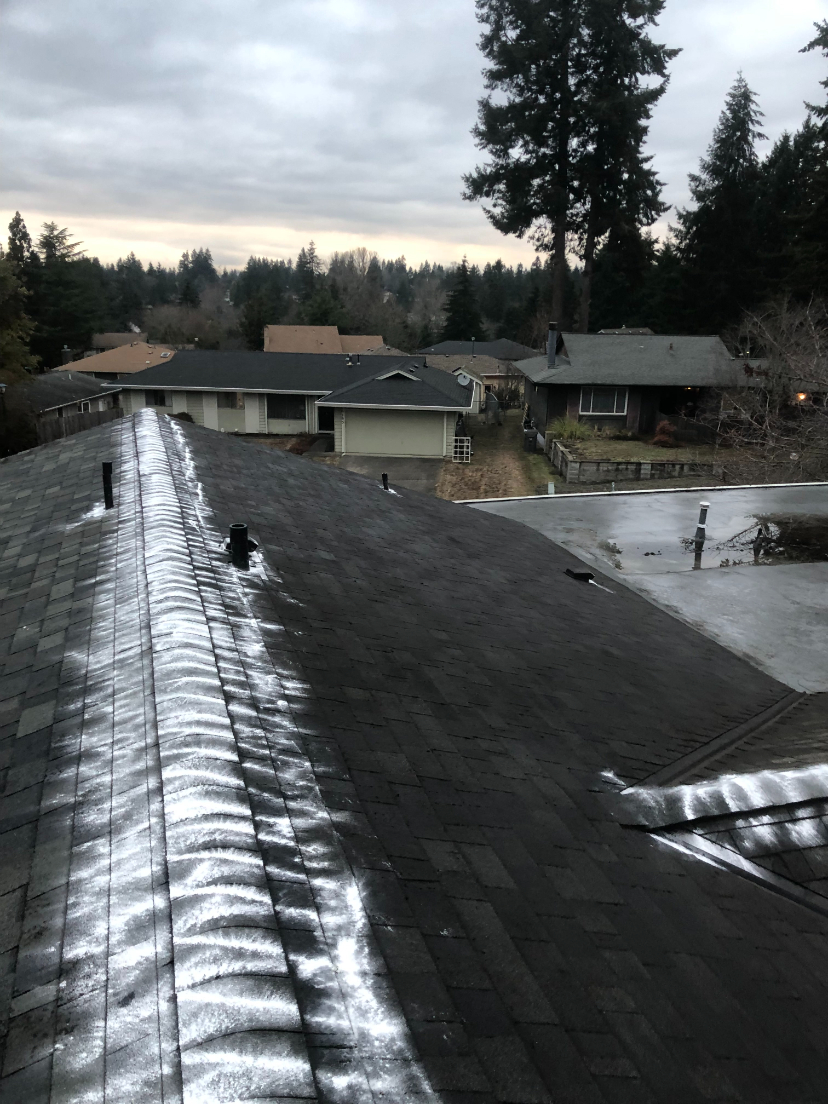 Roof Cleaning in Renton, WA