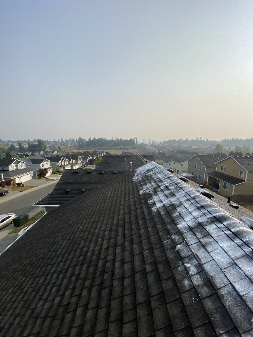 Roof Cleaning in Spanaway, WA