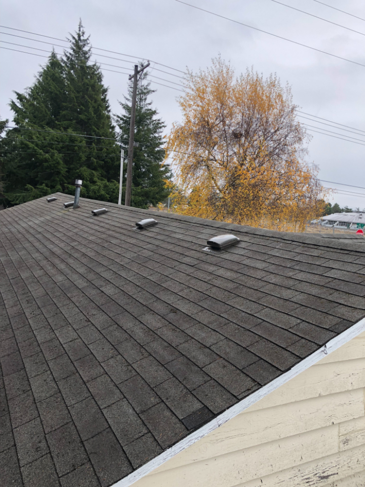 Roof Cleaning in Tacoma
