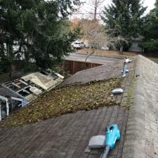 Roof cleaning