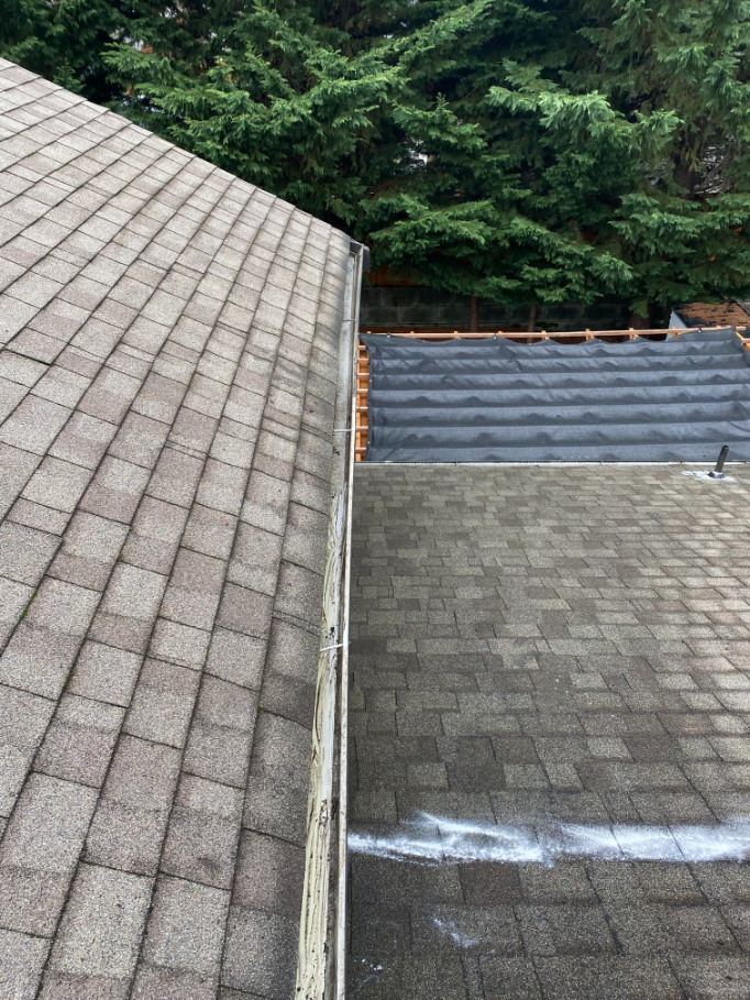 Roof and gutter cleaning