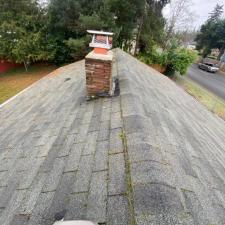 Moss removal gutter cleaning