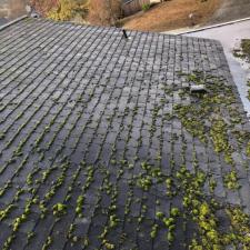 Roof Cleaning renton 0