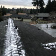Roof Cleaning renton 1